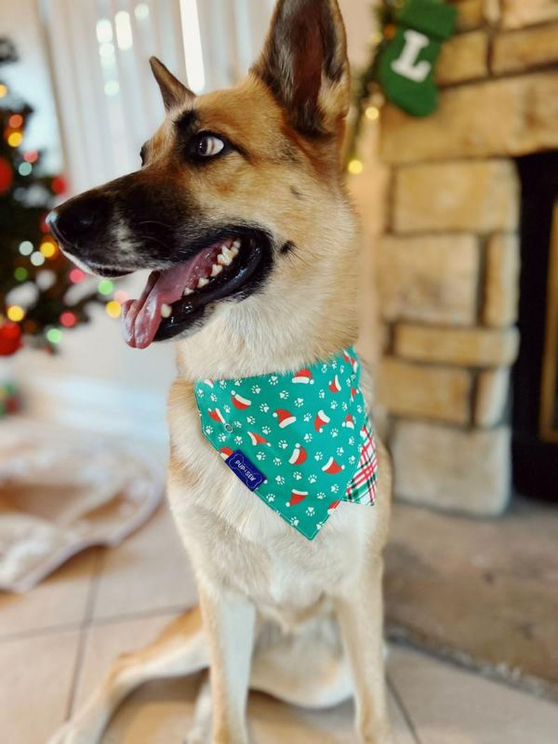 "Santa Paws" Reversible Dog Collar Bandana - Perfect for Every Occasion!